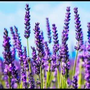 Meet your Posher, Unique